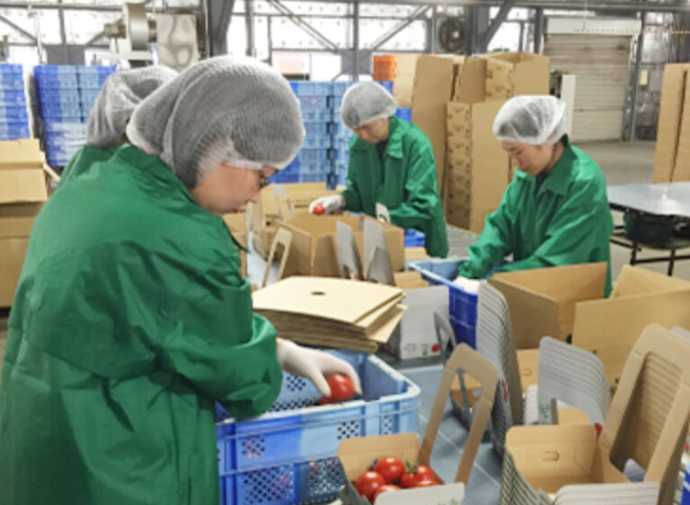 会社で仕事している